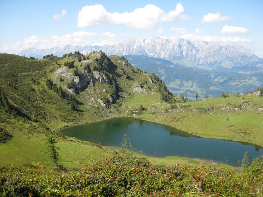 Bergparadies - Inklusive Eintritt In Die Alpentherme Dorfgastein Exterior photo